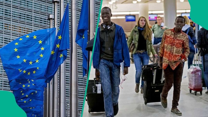 Firm warns Nigerians against fake EU citizenship schemes