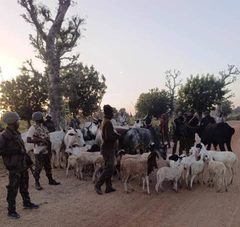 Troops neutralise 3 terrorists, recover arms, motorcycle, 41 livestock in Kaduna, Kano