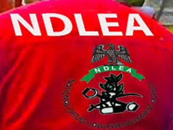 NDLEA warns Interior Ministry recruits against drug test payments