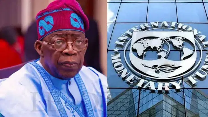 Rising debt: IMF urges FG to boost revenue, cut waste