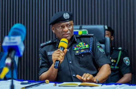 IGP Disu secures Italy’s offer to train 5,000 police officers