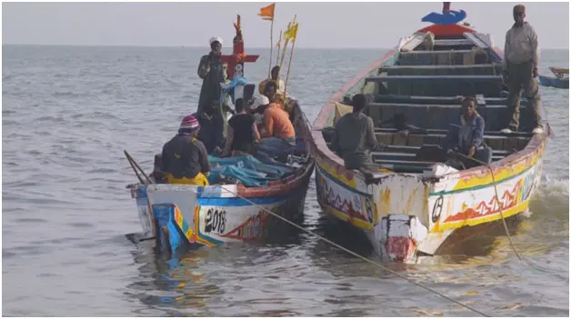 FG moves to tackle illegal fishing, maritime threats in Gulf of Guinea