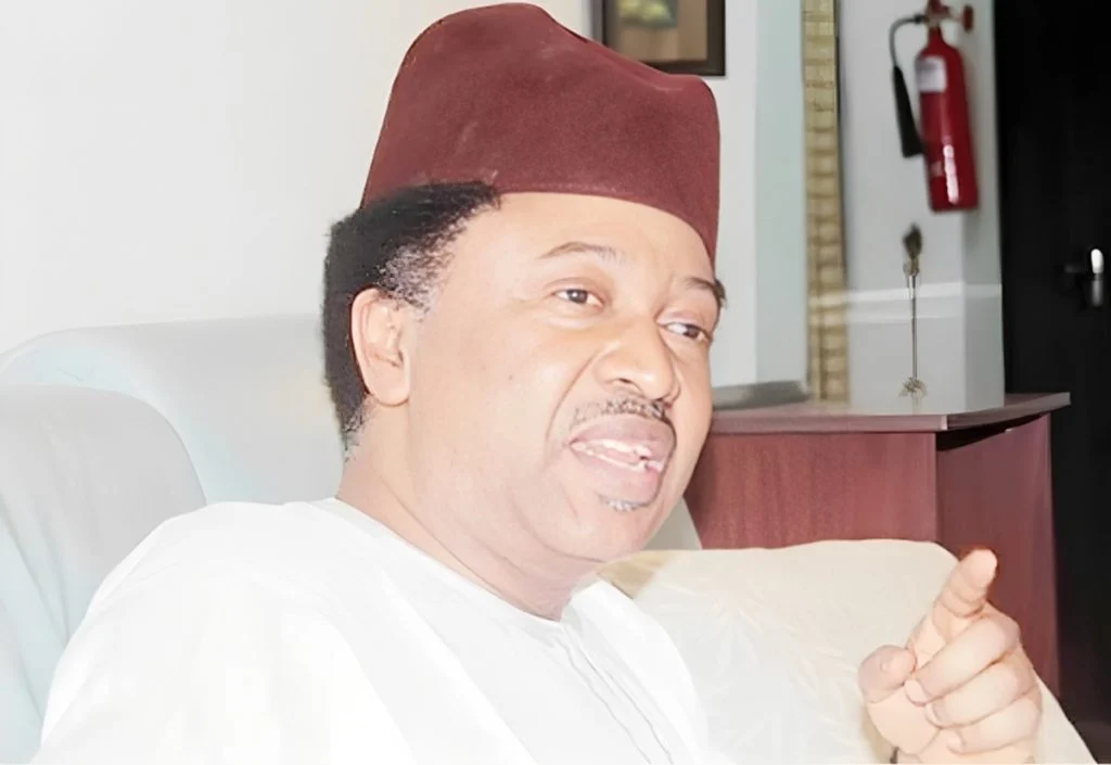North kept quiet under Buhari, but now blames Tinubu for banditry —Shehu Sani