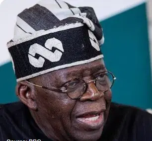 Referendum is democratic right, not crime, diaspora groups tell FG